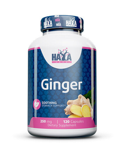 Ingver 250mg. / 120 VCAPS.