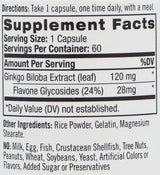 Ginkgo Biloba 120mg. / 60 kape.