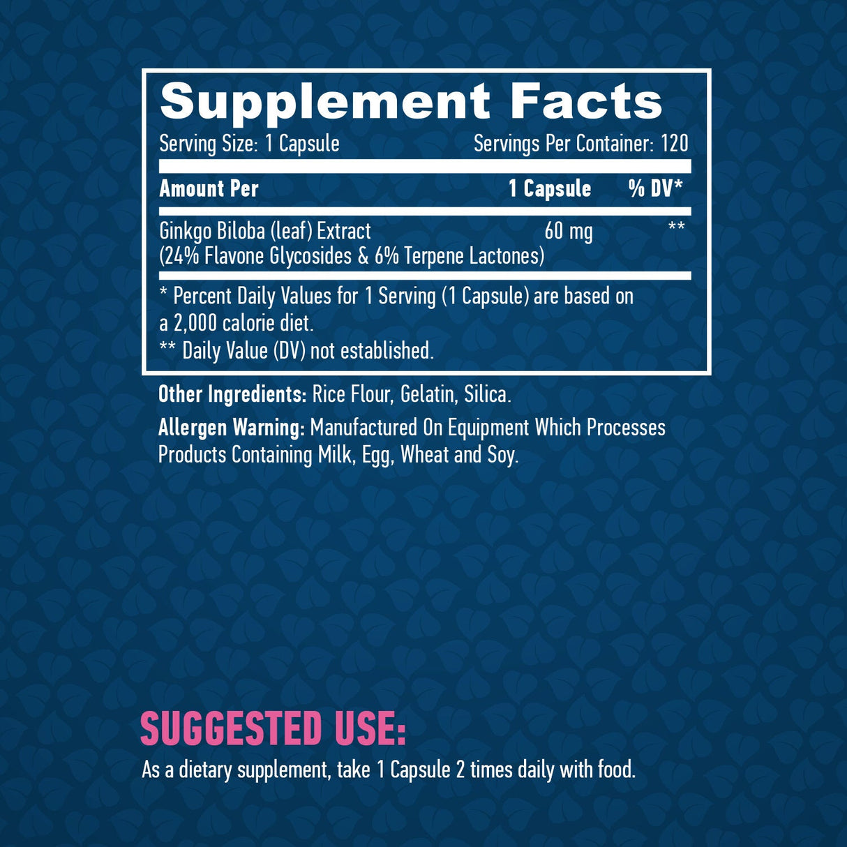 Ginkgo Biloba 60mg. / 120 kape.