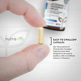 Glukozamin hondroitin /180 kapsul, 90 dni/ s kurkumo, ingverjem in vitaminom C <tc>Nutravita</tc>