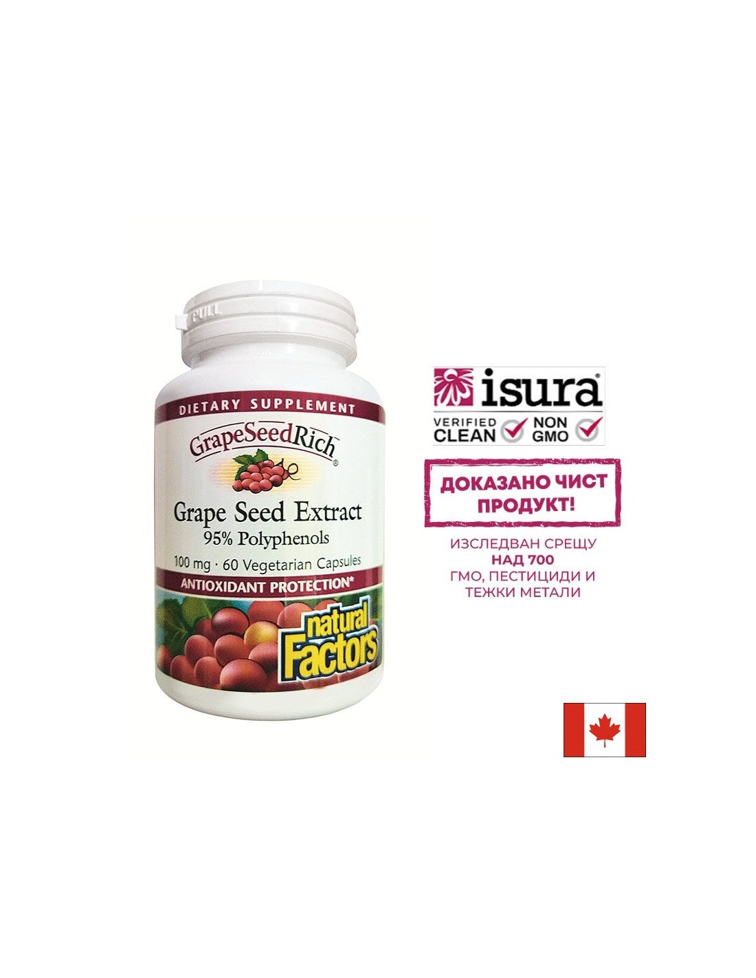 Grapeseedrich | Ekstrakt grozdnih semen 100 mg - 60 kapsul