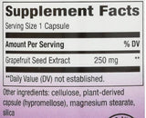Seme grenivke 250 mg - 60 kapsul