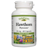 Glog fitosom 50 mg 60 kapsul