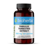 Tribulus Terrestris Extract 300 mg - 60 kapsul