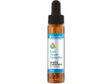 Bach spusti beli kostanj 20 ml