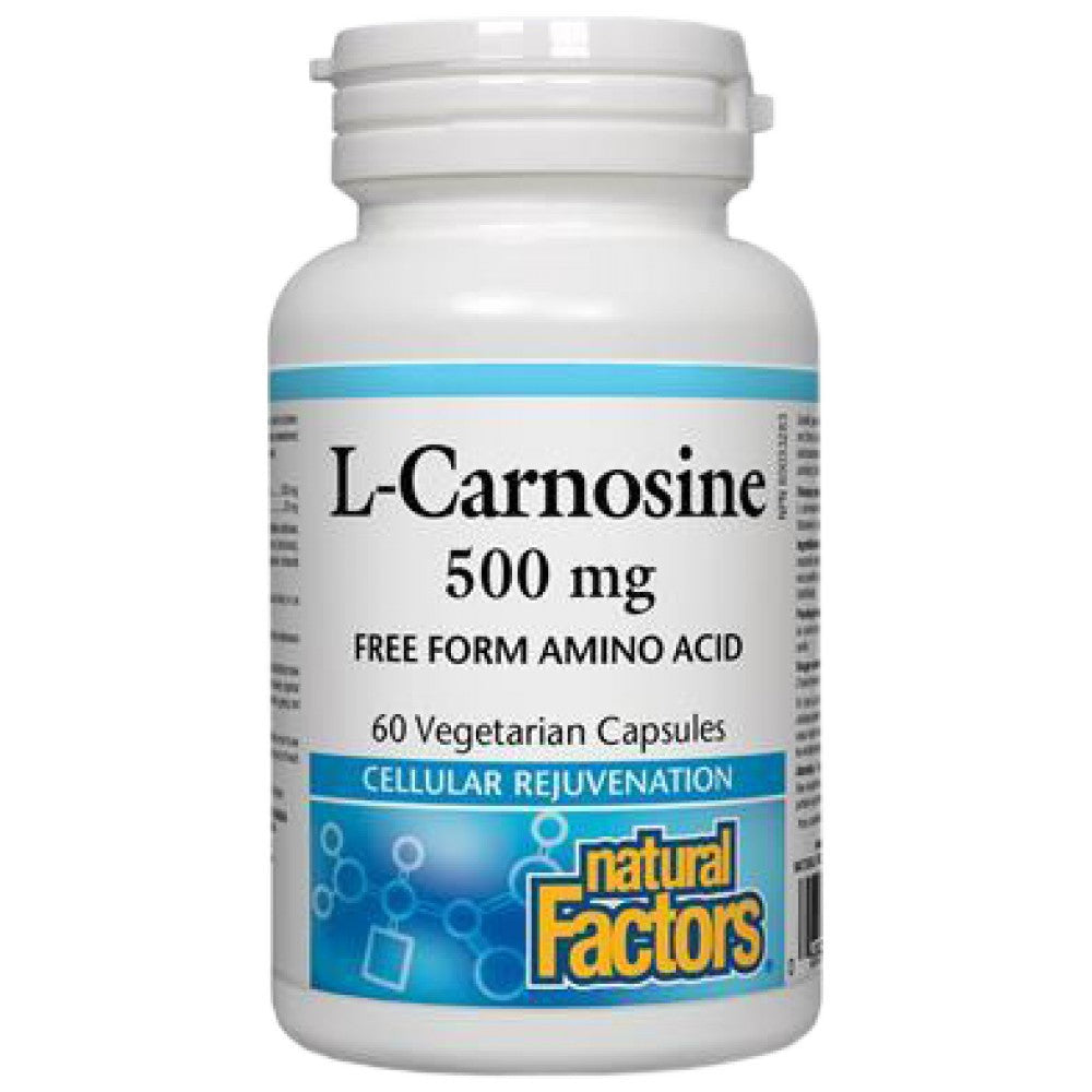 L-karnozin/ L-karnozin 500 mg x 60 kapsul <tc>Natural Factors</tc>