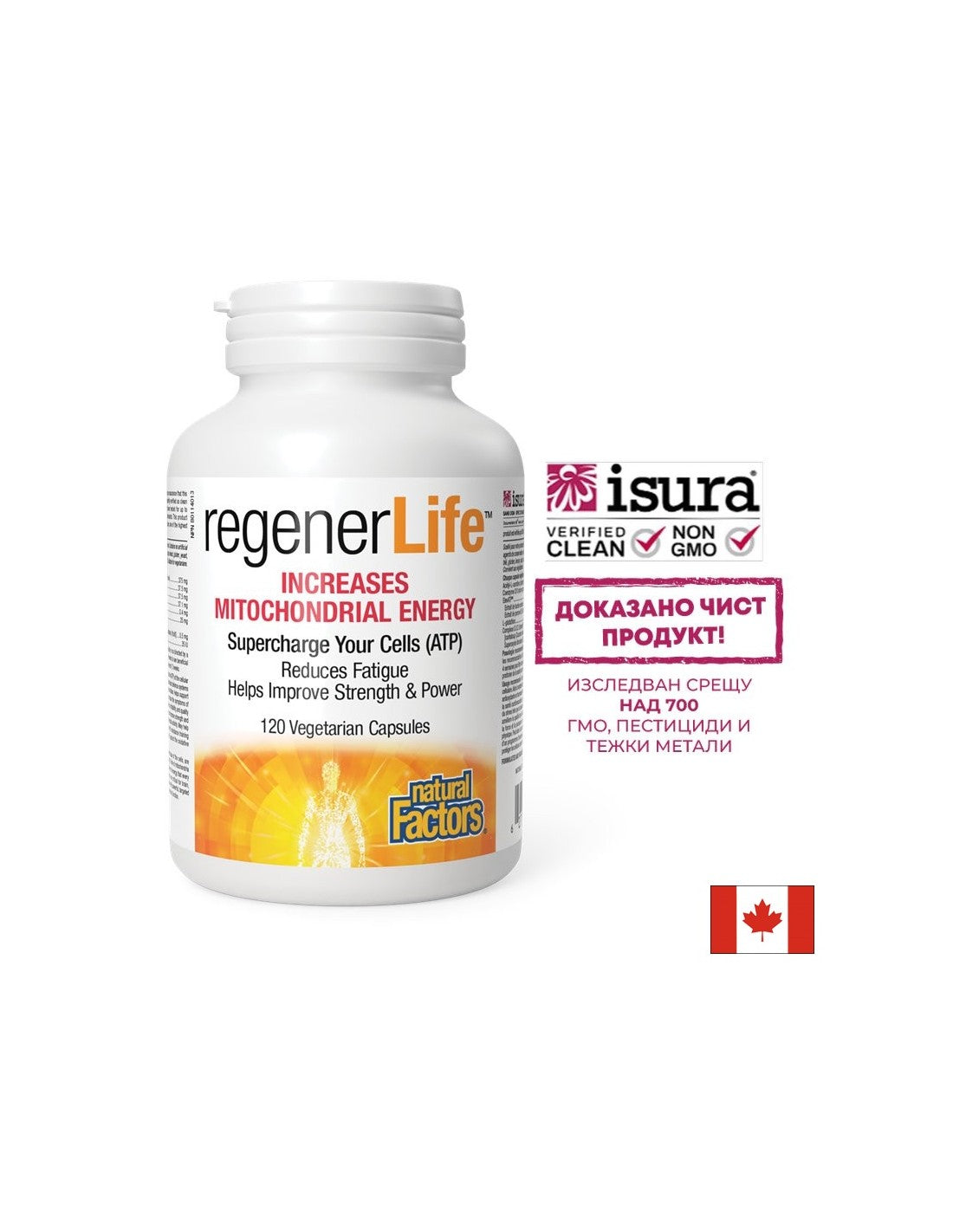 Regener Life ™ poveča mitohondrijsko energijo - 120 kapsul