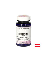 Imunost - L -histidin, 500 mg x 60 kapsul