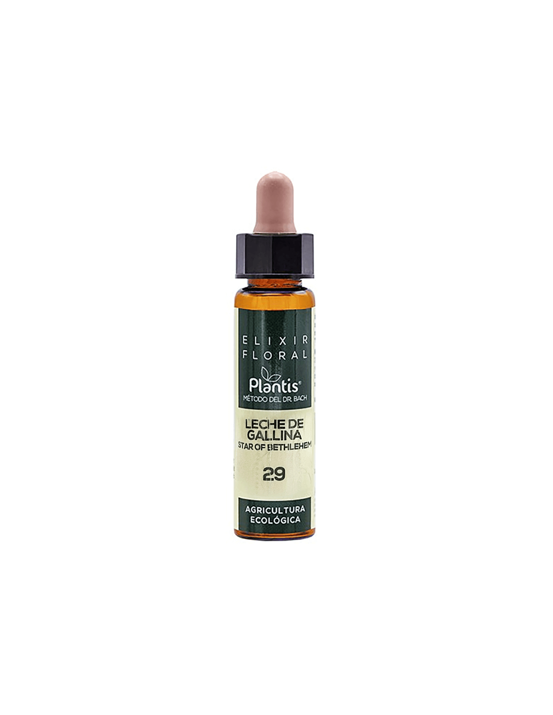Leche de gallina (Betlehemska zvezda) Elixir Floral 29 - Cvetlični eliksir Betlehemske zvezde, 10 ml Arte<tc>san</tc>ia