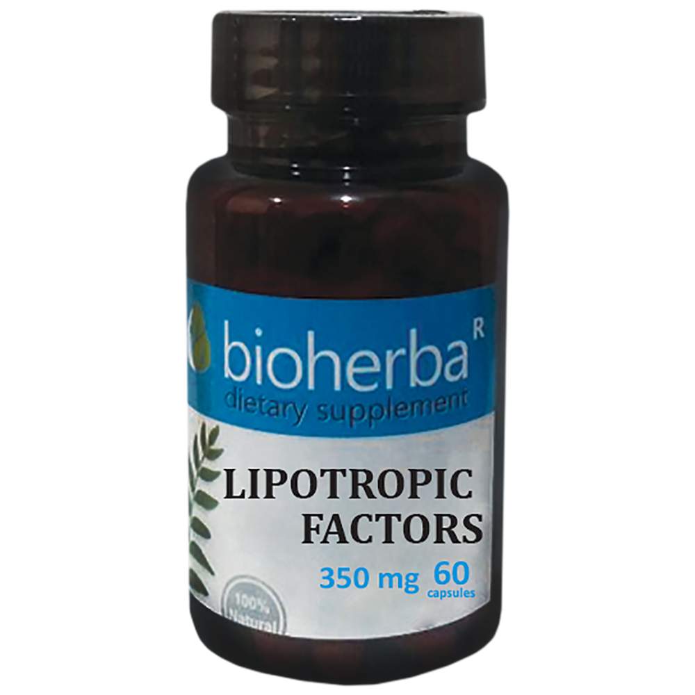 Lipotropni faktorji 350 mg - 60 kapsul
