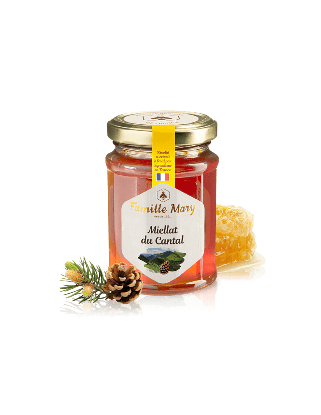 Miellat du Cantal / Bee Honey (Honeydew) iz borovih igel, 230 G Famille Mary