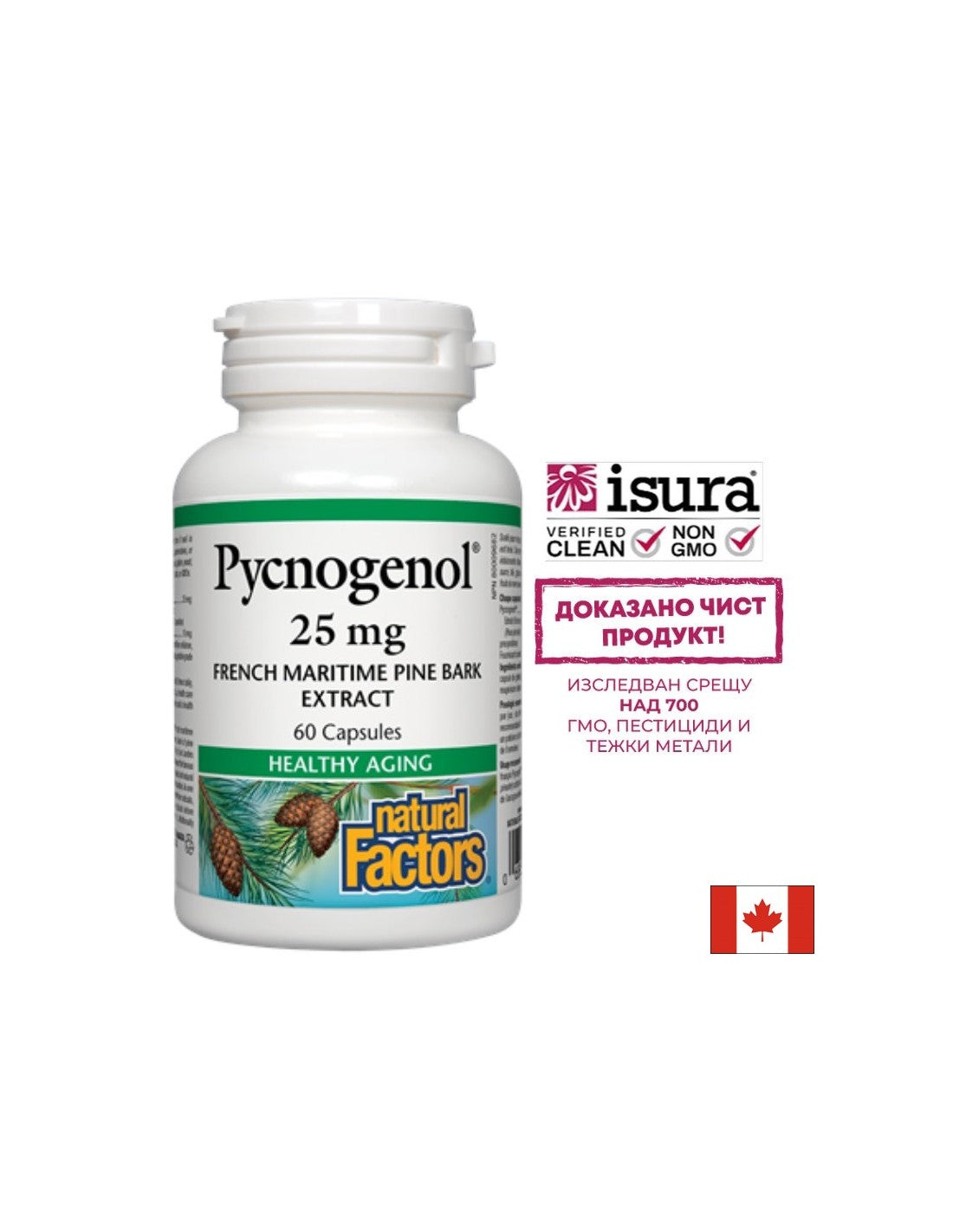 Pycnogenol 25 mg - 60 kapsul