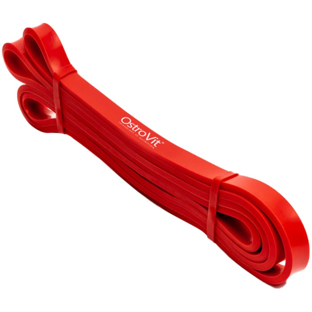 Vadbeni pas / vadbeni pas / uporni pas Red / 7kg - 16kg