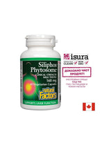 Premium Milk Thistle / Siliphos Fitosom 160 mg - 60 kapsul