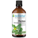 Tinktura Portulaca oleracea (Pursane) - 100 ml