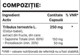 Tribul 250mg | Tribulus Terrestris Extract - 60 kapsul