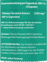 Tribulus terestris | 90% saponinov - 90 kapsul