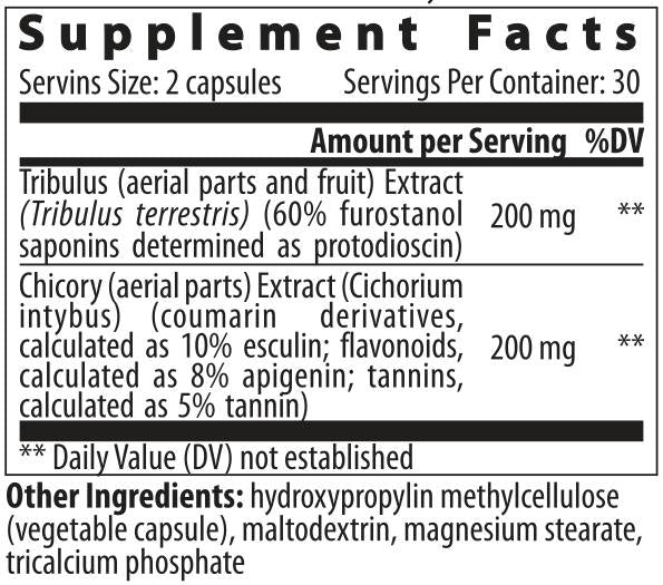 Tribulus Cichorium - 60 kapsul
