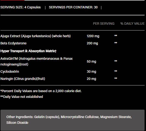 Turkesterone 1200 | z beta -ecdisteronom in Astraginom - 120 kapsul