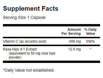 Vitamin C z vrtnimi boki 500 mg - 100 kapsul