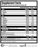 X Neuro | EAA, BCAA in Nootropic - 292,5 gramov