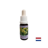 Uravnoteži ego - Essence Sunny Orchid št. 18, pade 15 ml