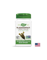 Mehurwrack 580 mg - 100 kapsul