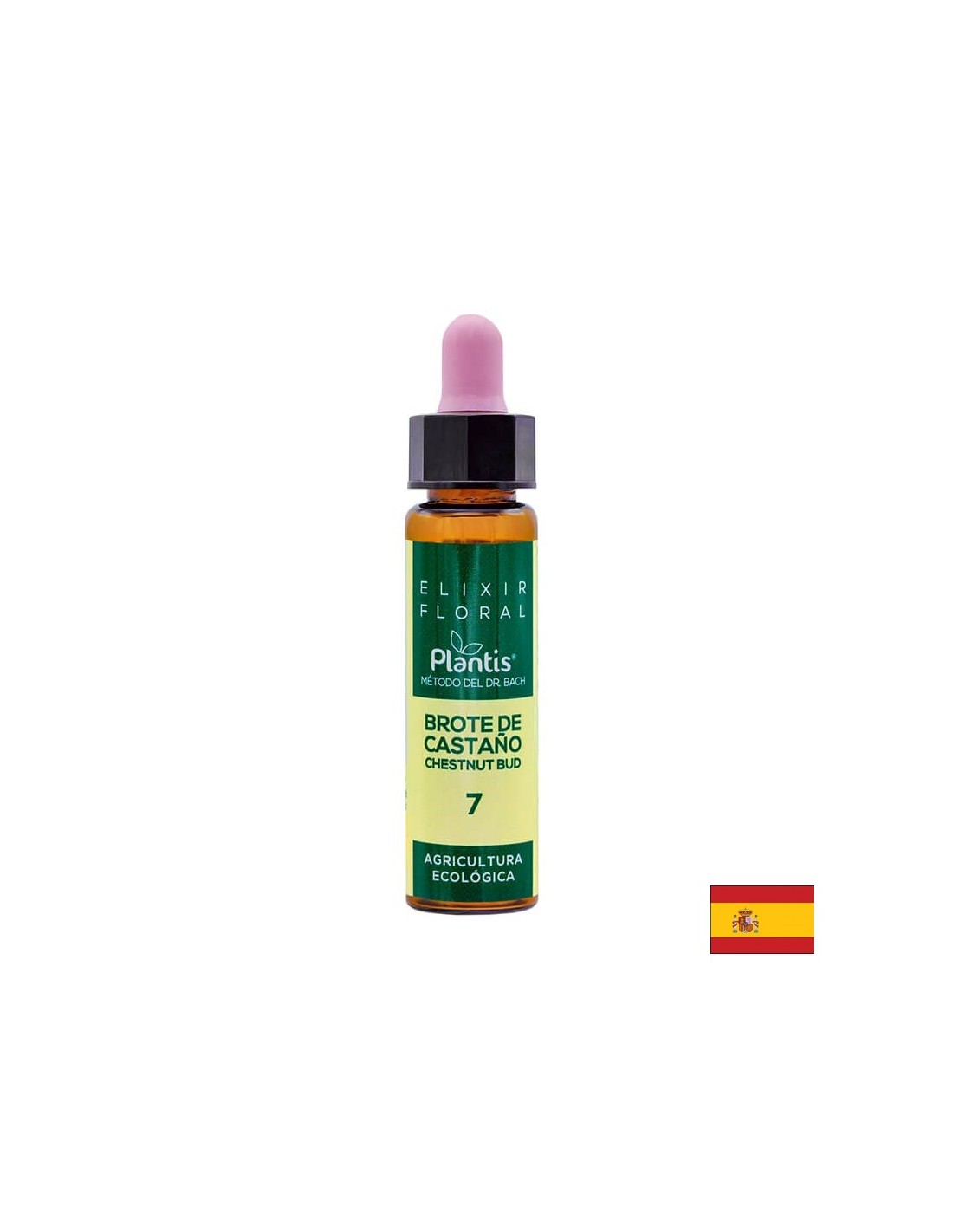 Brote de castaño (Chestnut but) Elixir Floral 7 - Cvetni eliksir kostanjevih popkov, 10 ml Arte<tc>san</tc>ia