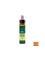 Brote de castaño (Chestnut but) Elixir Floral 7 - Cvetni eliksir kostanjevih popkov, 10 ml Arte<tc>san</tc>ia