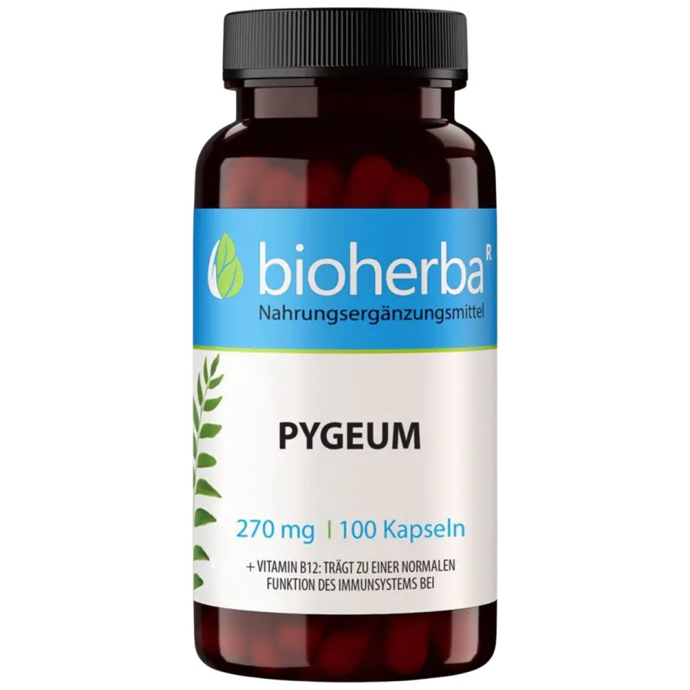 Pygeum 270 mg - 100 kapsul