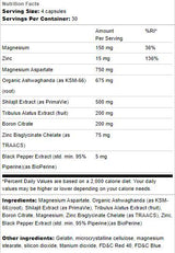 Preskusna podpora | Z Ashwagandha in Shilajit - 120 kapsul