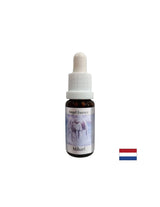 Daje moč za premagovanje težav - Michael Essence (Angel Essence št. 17), pade 15 ml