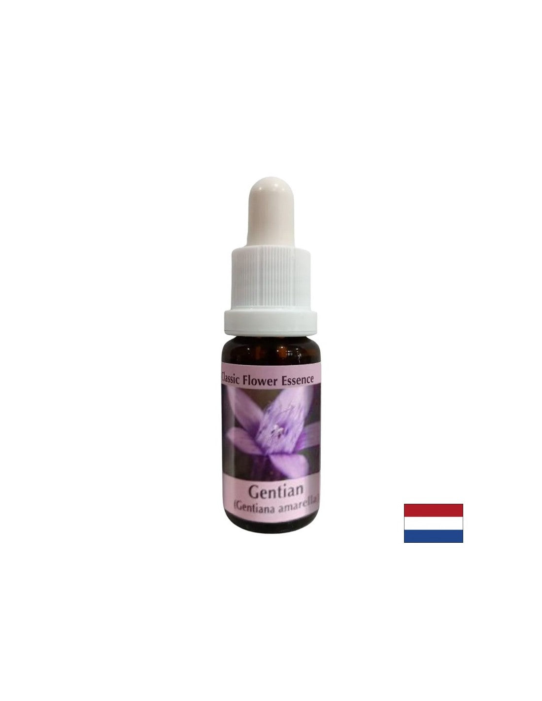 Daje zaupanje - Gentian Essence št. 12, pade 15 ml