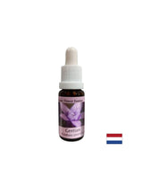 Daje zaupanje - Gentian Essence št. 12, pade 15 ml