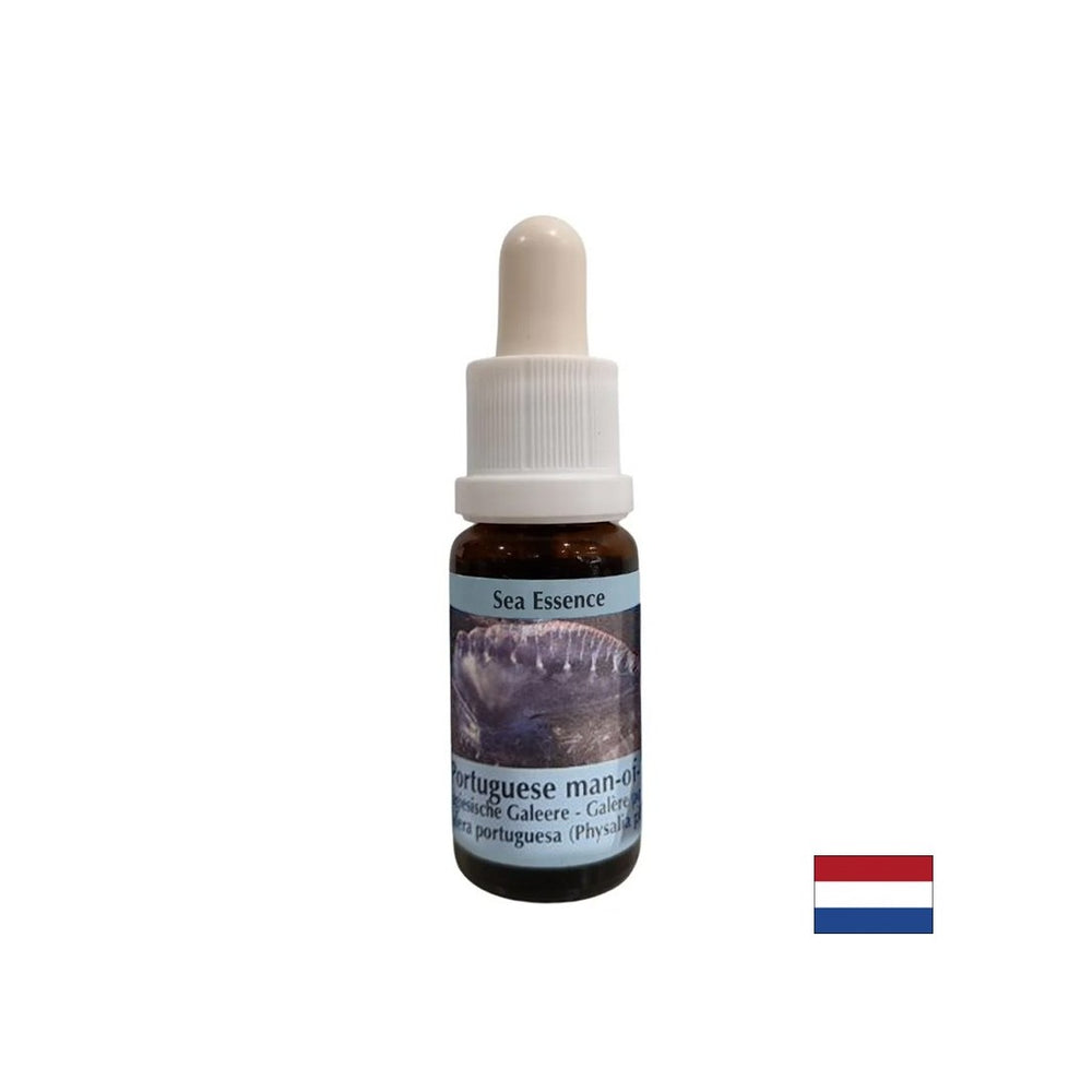 Razstrupljanje - Essence Physalia (portugalska galela) št. 4, pade 15 ml