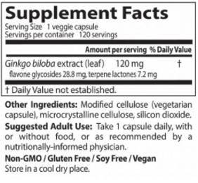 Najboljša dodatna moč Ginkgo 120 mg - 120 kapsul
