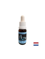 Čustveno ravnovesje - Amasonitna Essence št. 1, pade 15 ml