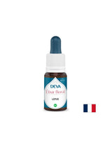 Čustveno ravnovesje - sveti lotus, kapljice cvetov Bach, 15 ml