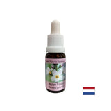 Spodbuja komunikacijo - Essence Swamp Iris, pade 15 ml