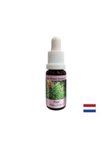 Ko se počutite krivega - Essence Boron št. 24, pade 15 ml