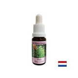 Ko se počutite krivega - Essence Boron št. 24, pade 15 ml