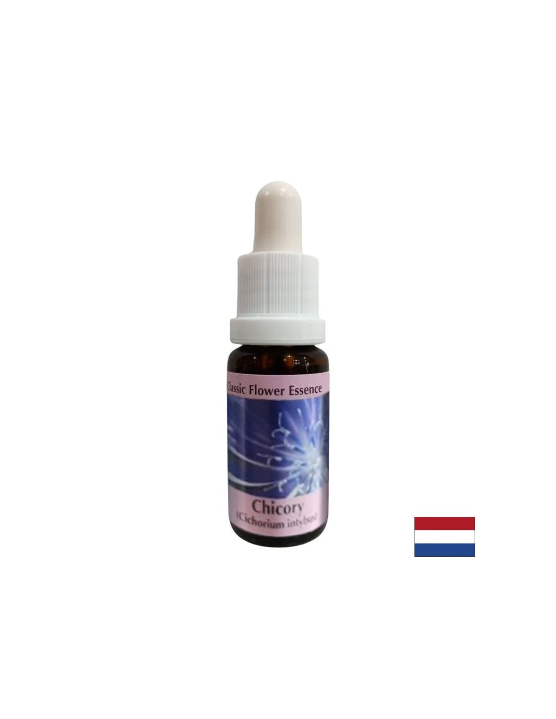 Osredotočiti se na sebe - Chicory Essence št. 8, pade 15 ml