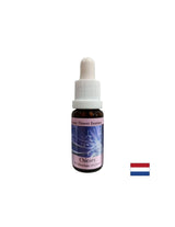 Osredotočiti se na sebe - Chicory Essence št. 8, pade 15 ml