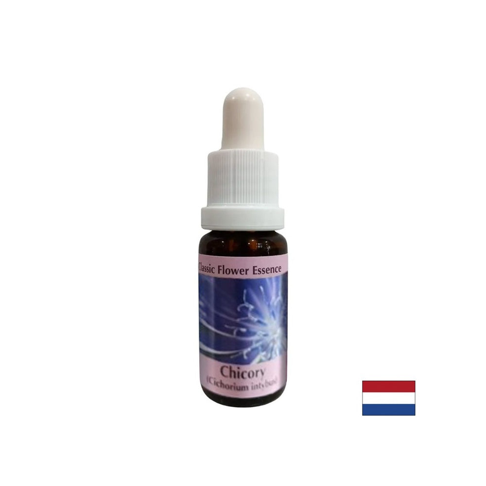 Osredotočiti se na sebe - Chicory Essence št. 8, pade 15 ml