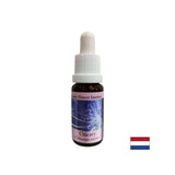 Osredotočiti se na sebe - Chicory Essence št. 8, pade 15 ml
