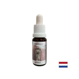 Napolni z ljubeznijo in upanjem - Jehiel Essence (Angel Essence št. 12), pade 15 ml