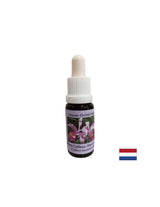 Razume cikel številčnosti in željo po dajanju - Cattleya Essence št. 10, spusti 15 ml