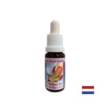 Odstrani blokade energije - Essence kostanjevega popka št. 7, pade 15 ml