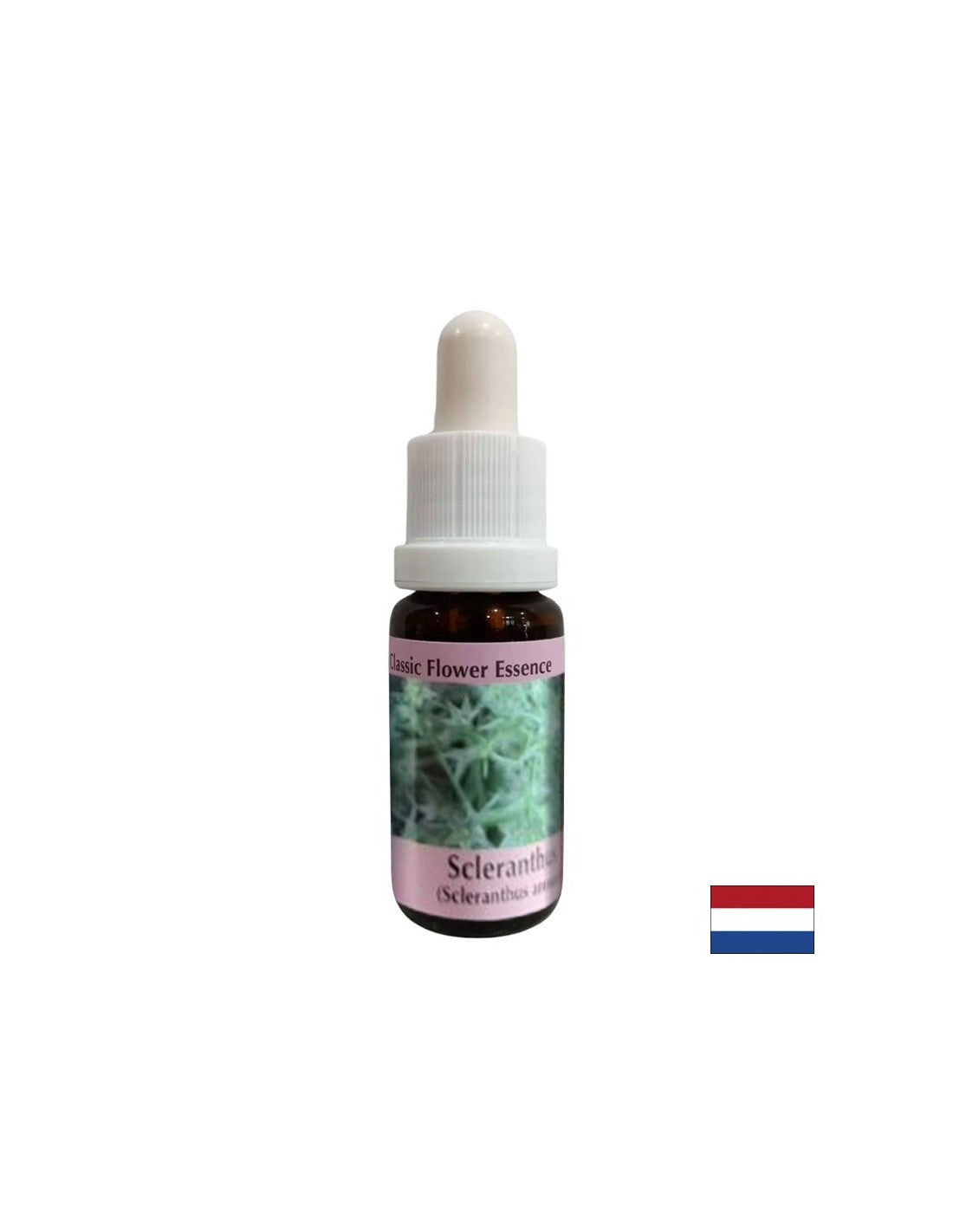 Za notranje ravnovesje - hrustanec Essence št. 28, pade 15 ml