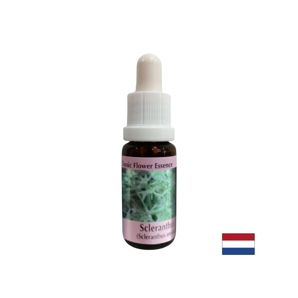 Za notranje ravnovesje - hrustanec Essence št. 28, pade 15 ml